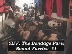 YIFF! The Bondage furs: Bound Furries #1