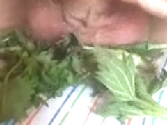 Man quick cum with nettles play. Girls  needs your comment