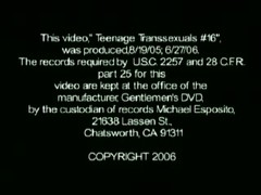 Teenage Transsexuals 16