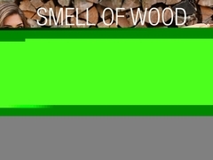 CHARLOTTA - Smell Of Wood